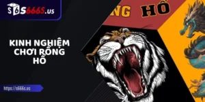 Luật Chơi Rồng Hổ