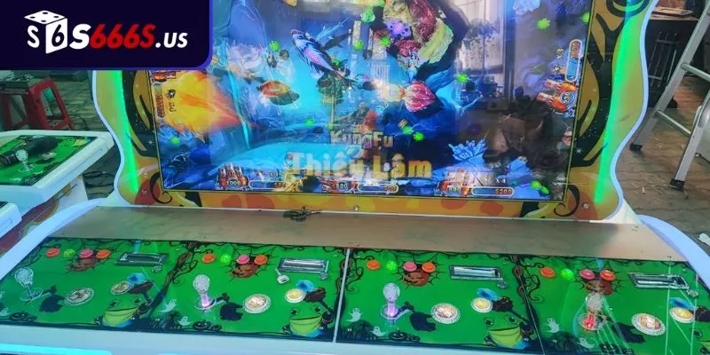 Nhắm Bắn Khi Cá Vừa Xuất Hiện