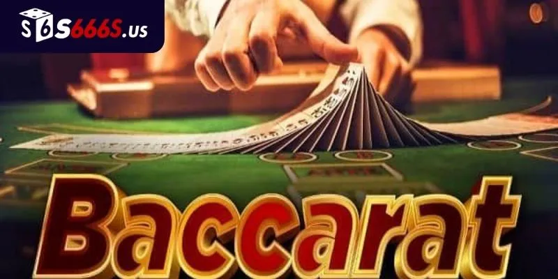 FAQ - Câu hỏi thường gặp về baccarat tại S666